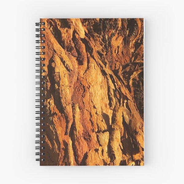 Item preview, Textured Tree Bark Close-Up In Morning Sunlight  designed and sold by DEC02.