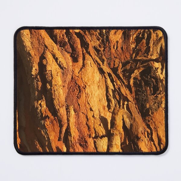 Item preview, Textured Tree Bark Close-Up In Morning Sunlight  designed and sold by DEC02.
