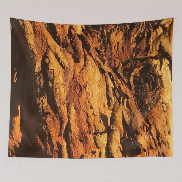 Item preview, Textured Tree Bark Close-Up In Morning Sunlight  designed and sold by DEC02.