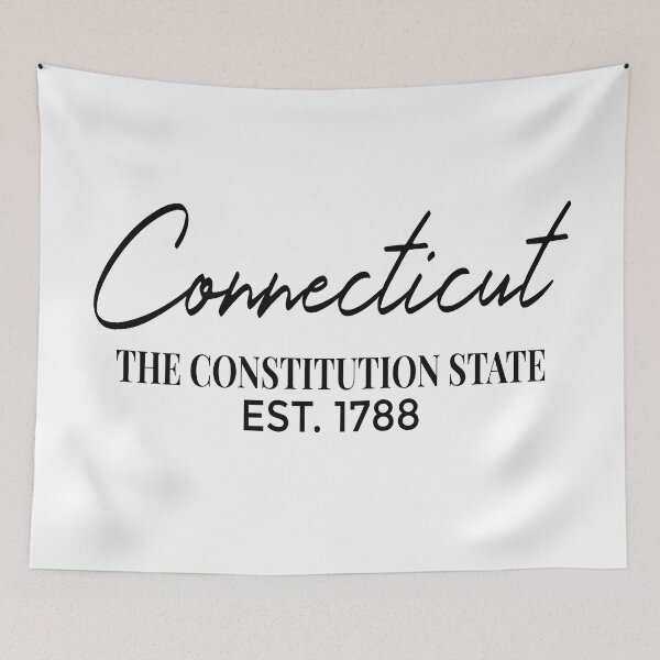 Item preview, Minimalist Connecticut Shirt – Simple State Tee Gift for Her, Traveler, or Local Pride Outfit, Connecticut Minimalist Sweatshirt – Cozy State Pride Gift for Women, Men, and Travelers designed and sold by Noe Mill.