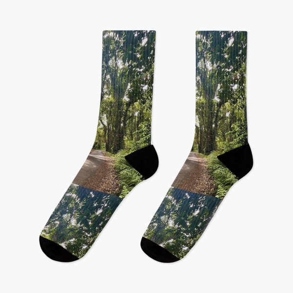 Item preview, Path Through the Green Cathedral designed and sold by TrisaThyme.