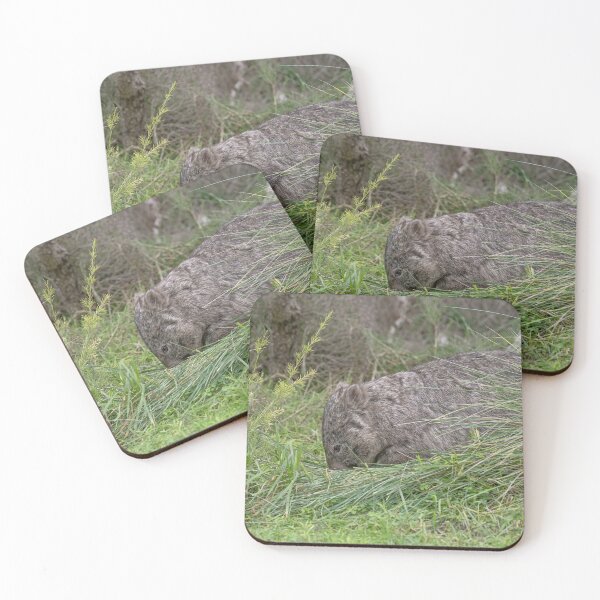 Item preview, Wombat at Tidal River, Wilsons Promontory designed and sold by Liza Clements Photographic.