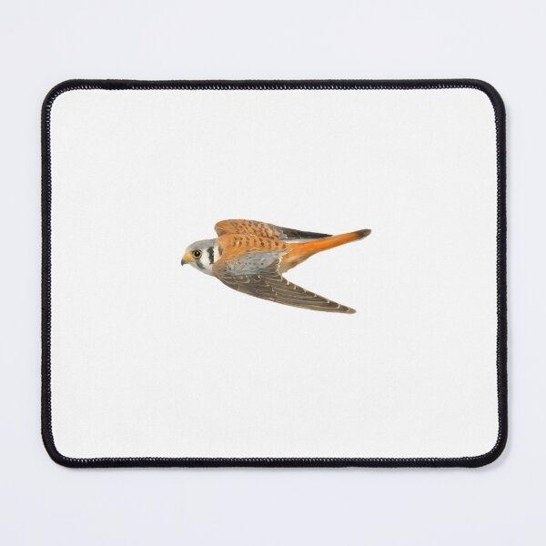 Item preview, American Kestrel (Falco sparverius) designed and sold by HOMETOWN86.