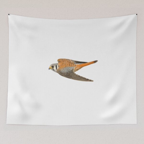 Item preview, American Kestrel (Falco sparverius) designed and sold by HOMETOWN86.