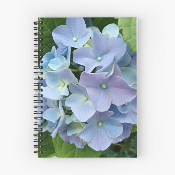 Item preview, Inflorescencias de hydrangea macrophylla. Fondo floral azul hortensia designed and sold by designer437.
