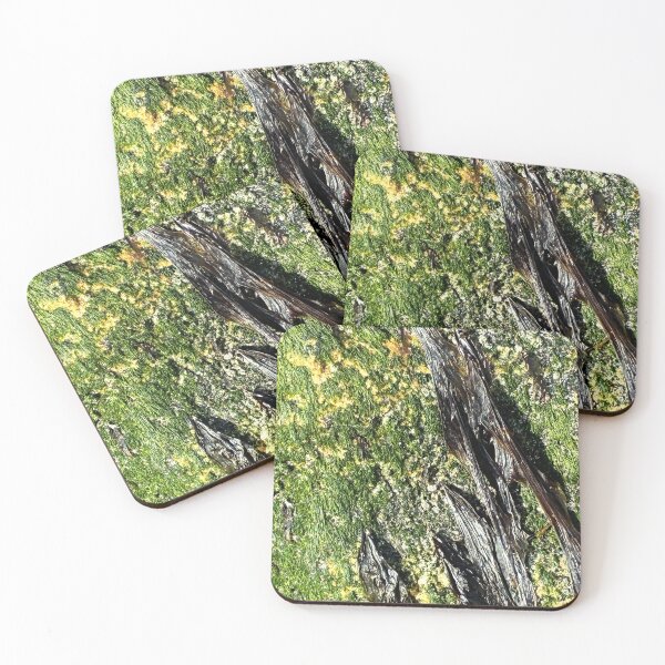 Item preview, Sea Art, Sea Weed, Gutweed, Sea Letteuce, Sennen Cove, Cornwall designed and sold by CharlottePlaceArt.