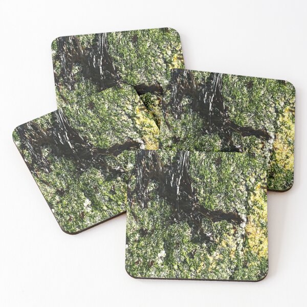 Item preview, Sea Art, Sea Weed, Gutweed, Sea Letteuce, Sennen Cove, Cornwall designed and sold by CharlottePlaceArt.