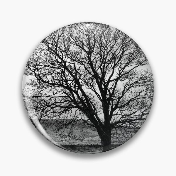Item preview, Cumbrian Tree Mono designed and sold by Dave Hare Photography.