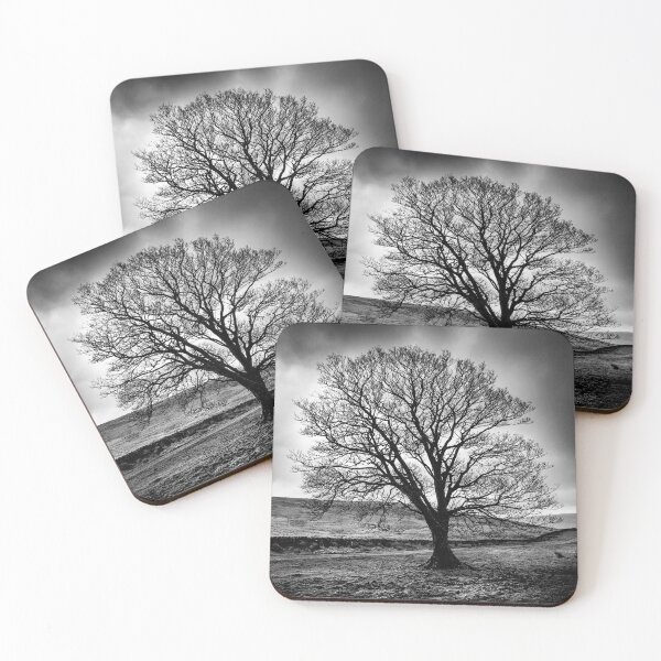 Item preview, Cumbrian Tree Mono designed and sold by Dave Hare Photography.