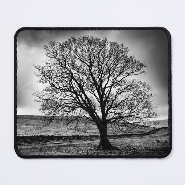 Item preview, Cumbrian Tree Mono designed and sold by Dave Hare Photography.