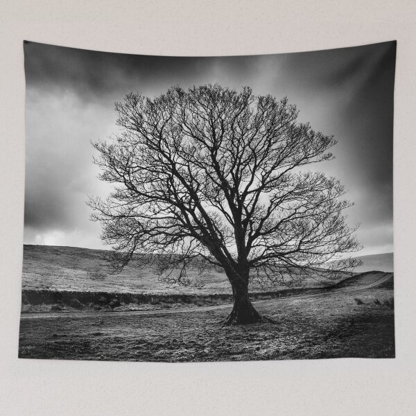 Item preview, Cumbrian Tree Mono designed and sold by Dave Hare Photography.