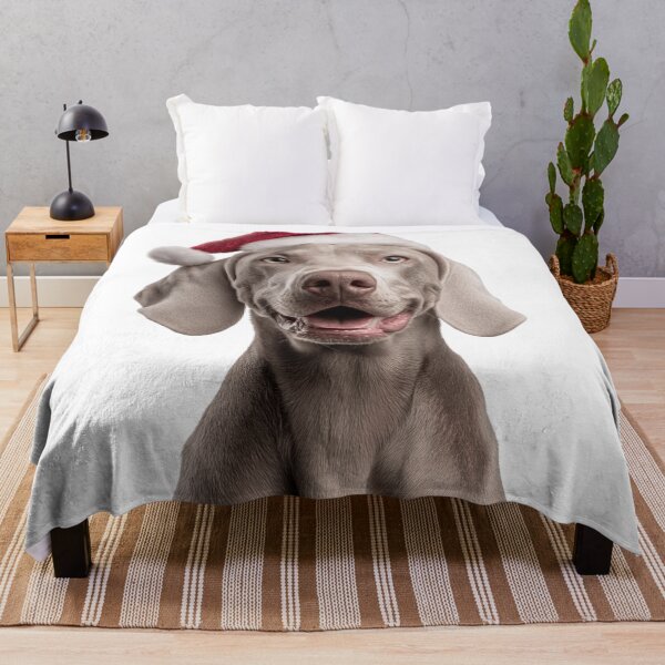 Item preview, Weimaraner dog with Christmas Hat – Festive Weimaraner Xmas Design designed and sold by LazyOwlStore.