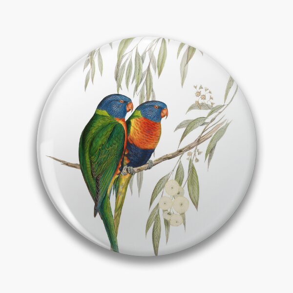 Item preview, Rainbow Lorikeet designed and sold by vintagepixs.