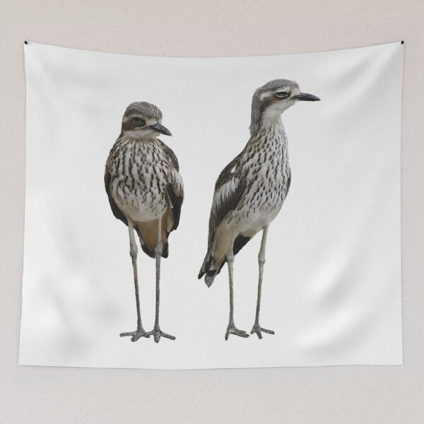 Item preview, Stone Curlews Creeping designed and sold by JammieGreenho6.