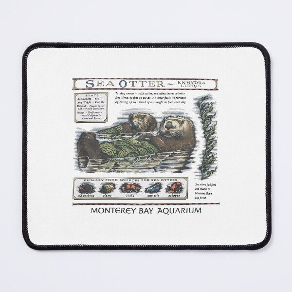 Item preview, Taylor Swift Sea Otter Monterey Bay Aquarium designed and sold by Haupalette.