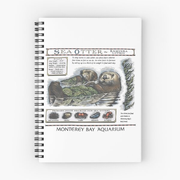 Item preview, Taylor Swift Sea Otter Monterey Bay Aquarium designed and sold by Haupalette.