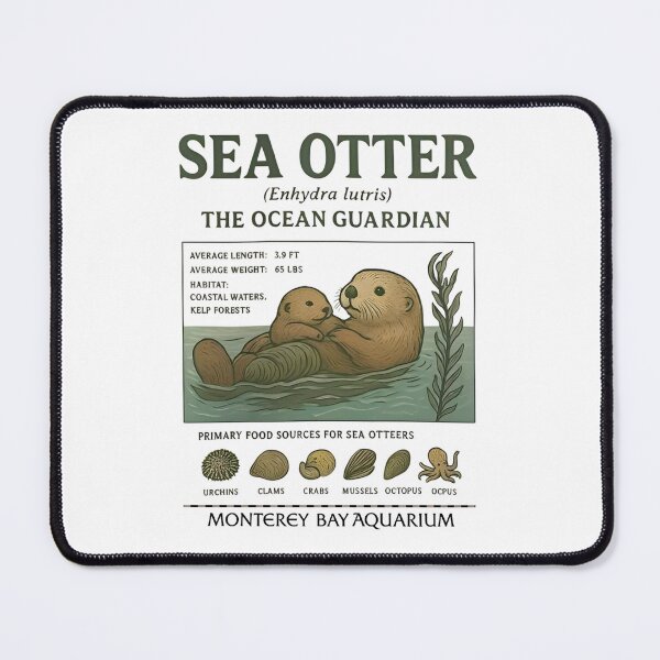 Item preview, Taylor Swift Sea Otter Monterey Bay Aquarium designed and sold by Haupalette.