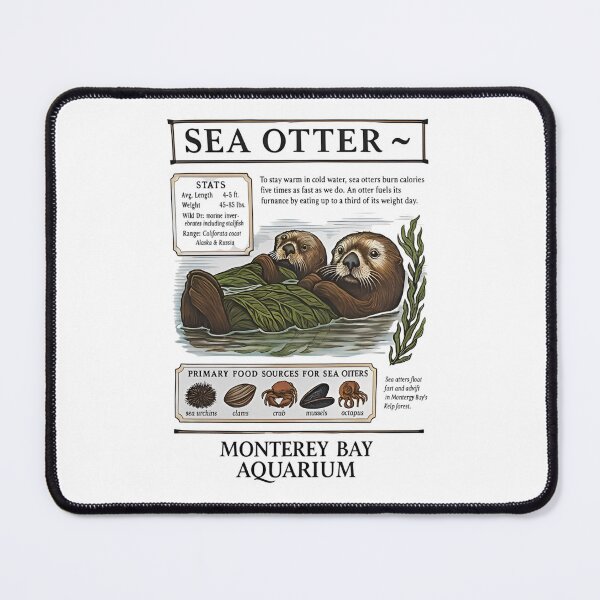 Item preview, Taylor Swift Sea Otter Monterey Bay Aquarium designed and sold by Haupalette.
