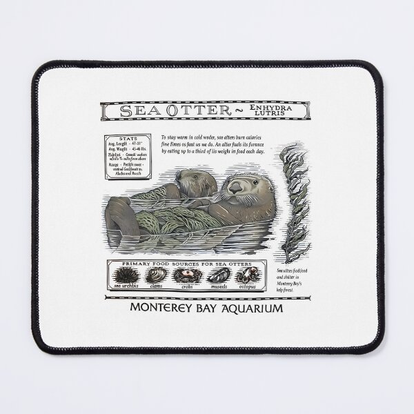 Item preview, Monterey Bay Aquarium Otter - Taylor Swift Sea Otter designed and sold by Haupalette.