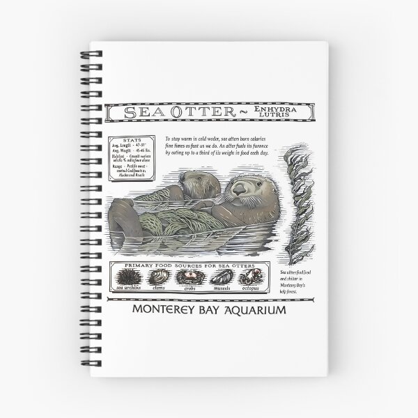 Item preview, Monterey Bay Aquarium Otter - Taylor Swift Sea Otter designed and sold by Haupalette.