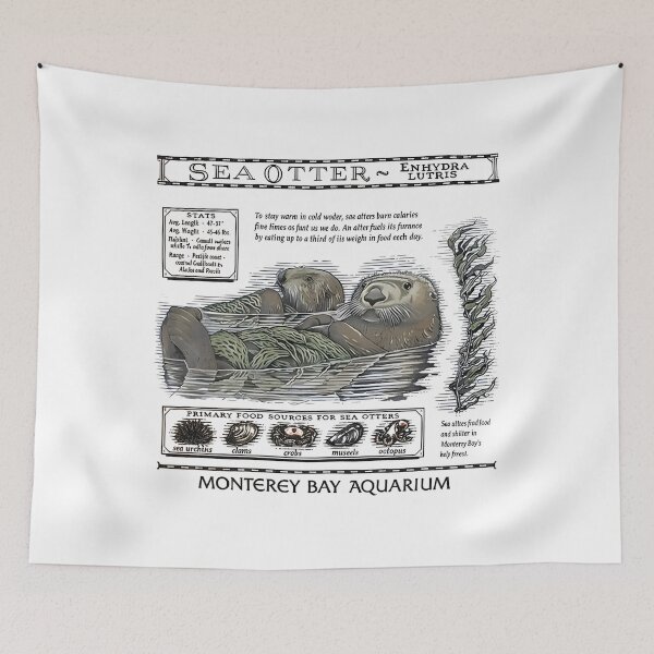 Item preview, Monterey Bay Aquarium Otter - Taylor Swift Sea Otter designed and sold by Haupalette.