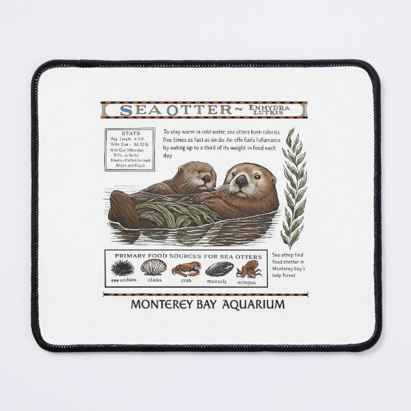 Item preview, Monterey Bay Aquarium Otter - Taylor Swift Sea Otter designed and sold by Haupalette.