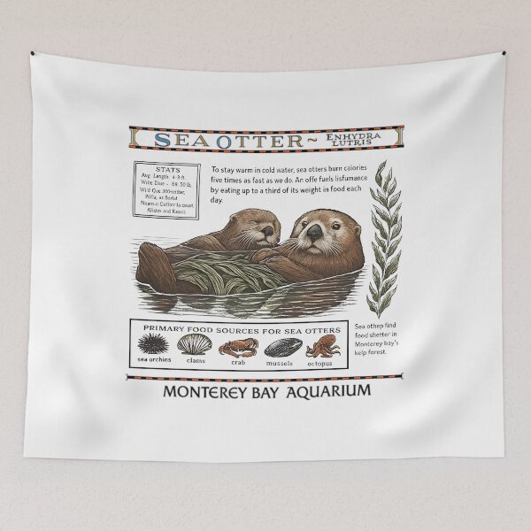 Item preview, Monterey Bay Aquarium Otter - Taylor Swift Sea Otter designed and sold by Haupalette.