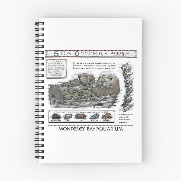 Item preview, Monterey Bay Aquarium Otter - Taylor Swift Sea Otter designed and sold by Haupalette.