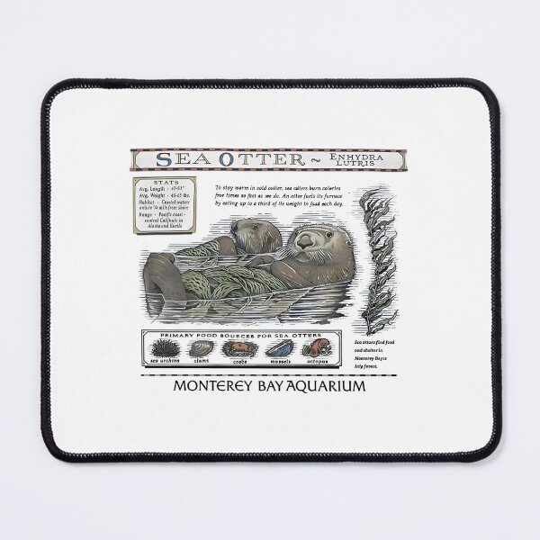 Item preview, Monterey Bay Aquarium Otter - Taylor Swift Sea Otter designed and sold by Haupalette.