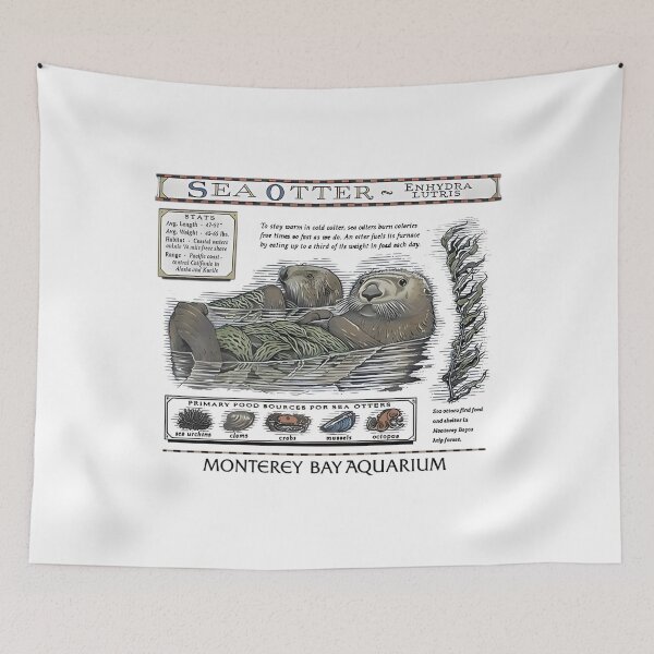 Item preview, Monterey Bay Aquarium Otter - Taylor Swift Sea Otter designed and sold by Haupalette.
