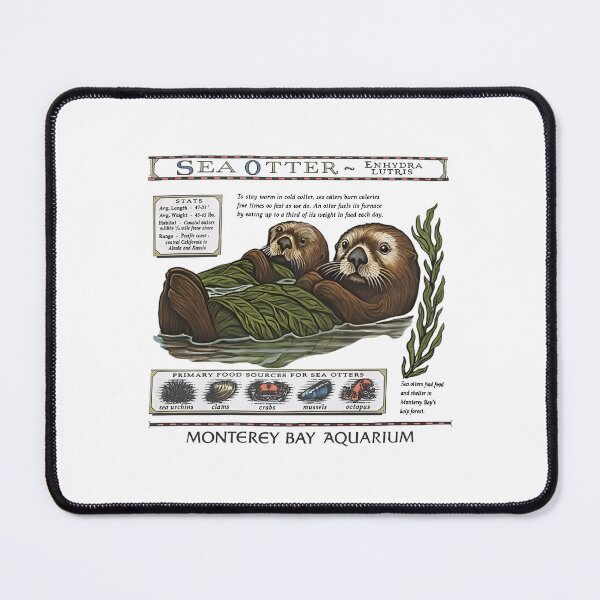 Item preview, Monterey Bay Aquarium Otter - Taylor Swift Sea Otter designed and sold by Haupalette.
