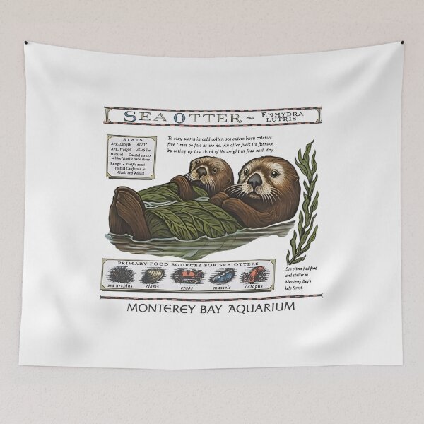 Item preview, Monterey Bay Aquarium Otter - Taylor Swift Sea Otter designed and sold by Haupalette.