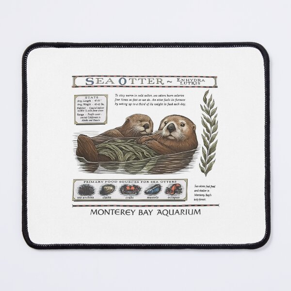 Item preview, Monterey Bay Aquarium Otter - Taylor Swift Sea Otter designed and sold by Haupalette.