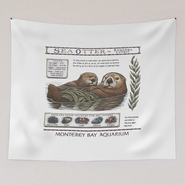 Item preview, Monterey Bay Aquarium Otter - Taylor Swift Sea Otter designed and sold by Haupalette.