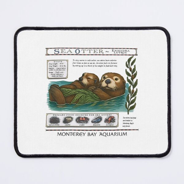 Item preview, Monterey Bay Aquarium Otter - Taylor Swift Sea Otter designed and sold by Haupalette.