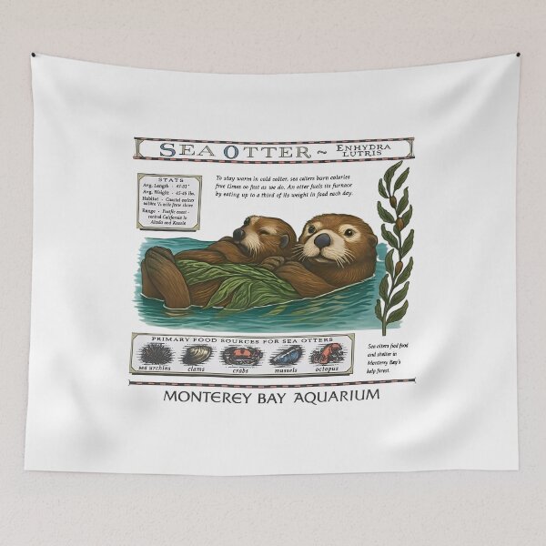 Item preview, Monterey Bay Aquarium Otter - Taylor Swift Sea Otter designed and sold by Haupalette.