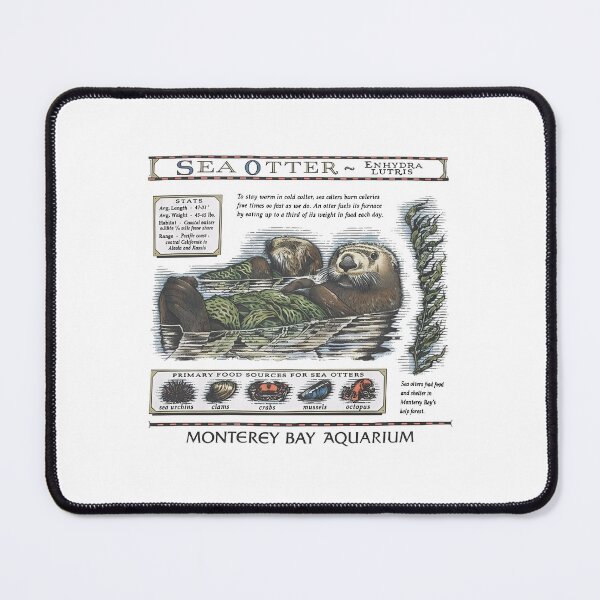Item preview, Monterey Bay Aquarium Otter - Taylor Swift Sea Otter designed and sold by Haupalette.