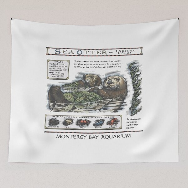 Item preview, Monterey Bay Aquarium Otter - Taylor Swift Sea Otter designed and sold by Haupalette.