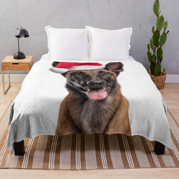 Item preview, Belgian Malinois dog with Christmas Hat – Festive Belgian Malinois Xmas Design designed and sold by LazyOwlStore.