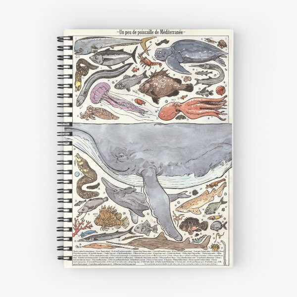 Item preview, Selection of fish from Mediterranean Sea designed and sold by C'est pas moi.