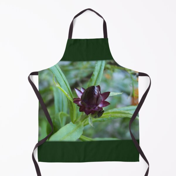 Item preview, Purple Strawflower Bud designed and sold by DianeBP.