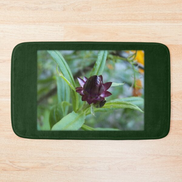 Item preview, Purple Strawflower Bud designed and sold by DianeBP.