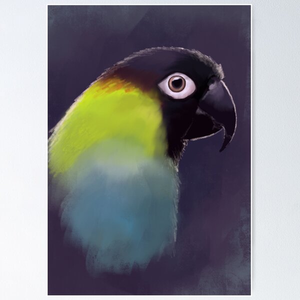 Item preview, Nanday Conure designed and sold by KCGillies.
