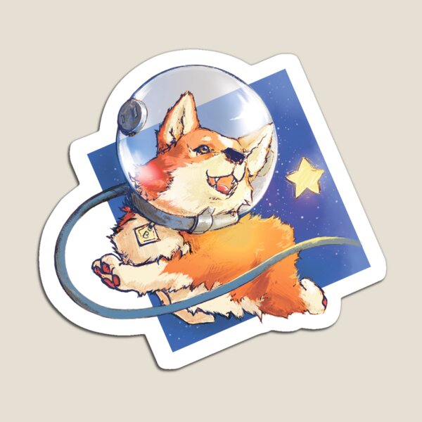 Aperçu de l'œuvre Espace corgi créée et vendue par protoRC.