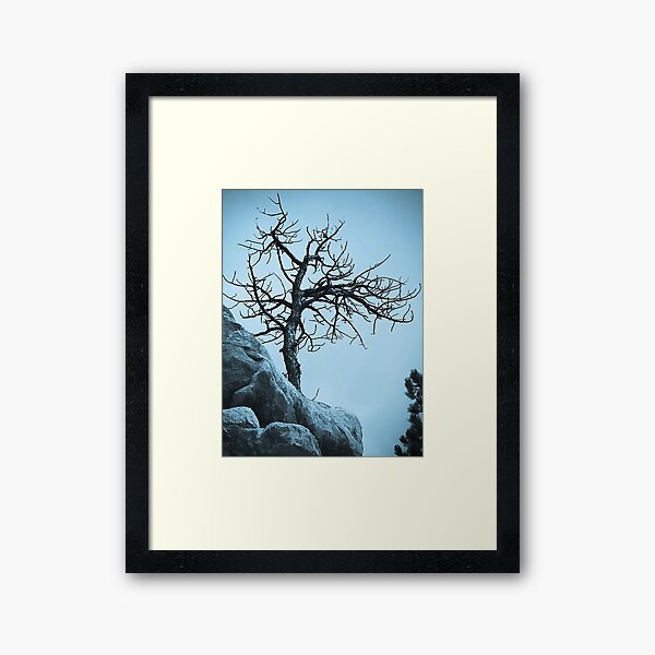 Framed Art Print