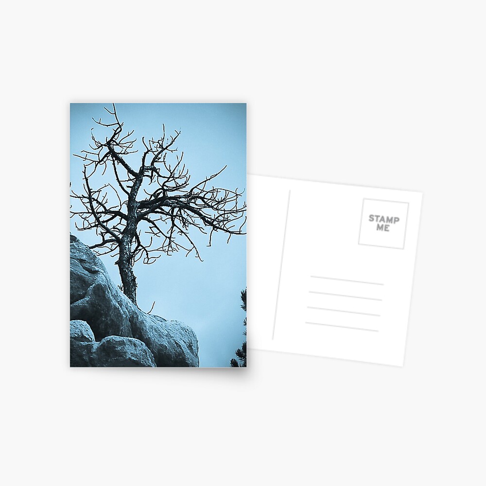 Item preview, Postcard designed and sold by idnurse41.