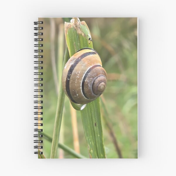 Item preview, Snail on a blade of grass designed and sold by Art-Arcade6.