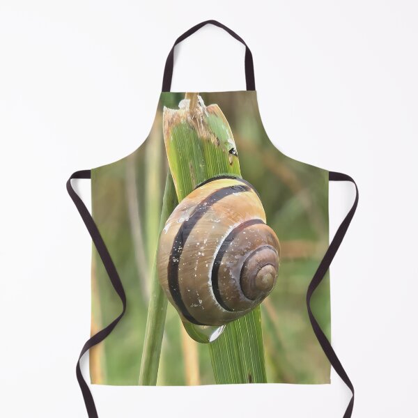 Item preview, Snail on a blade of grass designed and sold by Art-Arcade6.