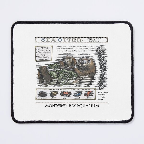Item preview, Monterey Bay Aquarium Otter - Taylor Swift Sea Otter designed and sold by oeridmd.