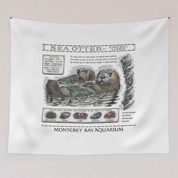 Item preview, Monterey Bay Aquarium Otter - Taylor Swift Sea Otter designed and sold by oeridmd.